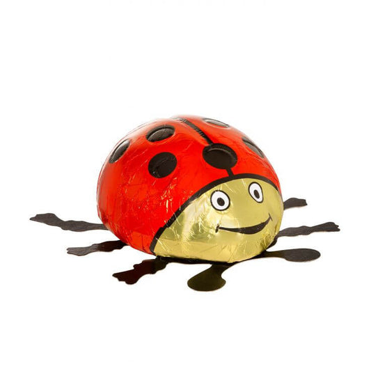 Klett Large Milk Chocolate Lady Bug 80g